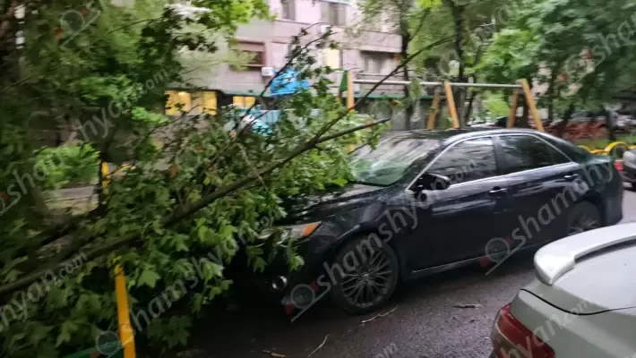Երևանում ուժեղ քամու հետևանքով ծառի ճյուղը պոկվել և ընկել է կայանված Toyota Camry-ի վրա․ shamshyan.com