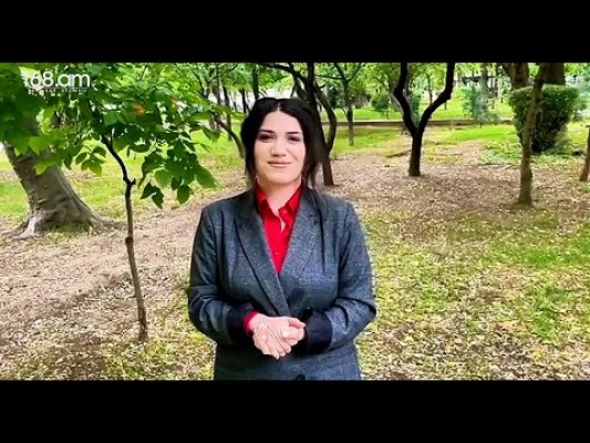 Լրագրող Անուշ Միրզոյանն ազատ արձակվեց