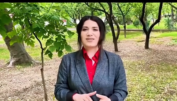 Սյունեցի լրագրող Անուշ Միրզոյանի նկատմամբ հանրային քրեական հետապնդում է հարուցվել