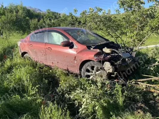 Երևան-Մեղրի ավտոճանապարհին 24-ամյա վարորդը Mazda-ով հայտնվել է բնակչի այգում՝ արմատախիլ անելով մրգատու ծառեր․ կա վիրավոր․ shamshyan.com