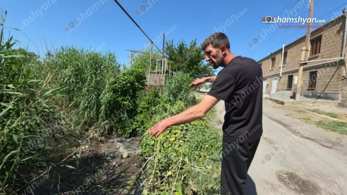 Գրիբոյեդով գյուղի բնակիչները մտահոգ են. գյուղի ջրատարը դարձել է ճահճուտ ու սահմանազատված չէ. shamshyan.com