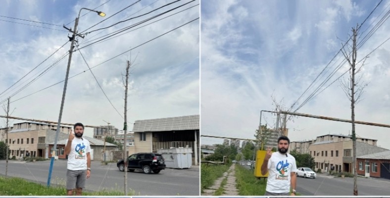 Նոր Նորքի Միկոյան փողոցում «ողջ մնացած» 13 ծառերից 3-ը ևս «մահամերձ են»