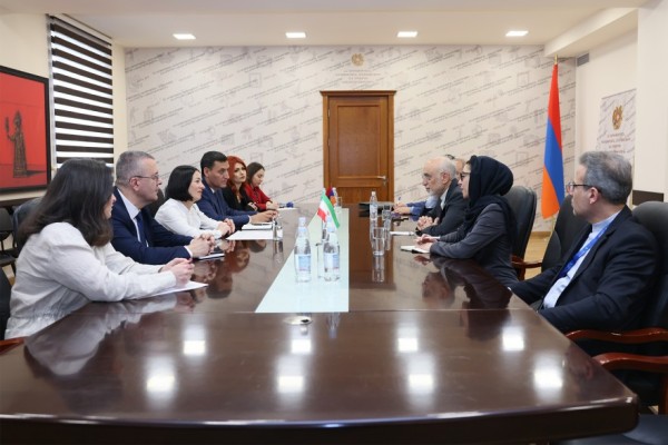 Քննարկվել է ՀՀ հանրակրթական դպրոցներում պարսկերենի դասավանդման հարցը
