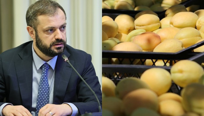 Արձանագրում եմ, որ այս պահին ծիրանի արտահանման հետ կապված խնդիրներ չունենք. Պապոյան