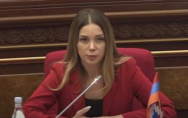 Թռնեք օդ, իջնեք ներքև՝ սա հենց ՀԷՑ-ը խլելու նախագիծ է. Աննա Գրիգորյան
