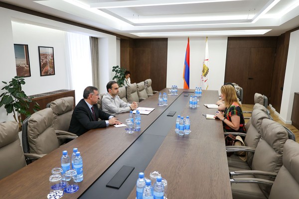 Տիգրան Ավինյանն ընդունել է ՀՀ-ում Նիդերլանդների դեսպանին