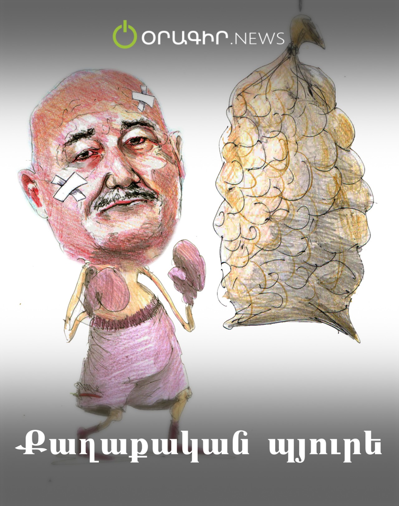 Քաղաքական պյուրե