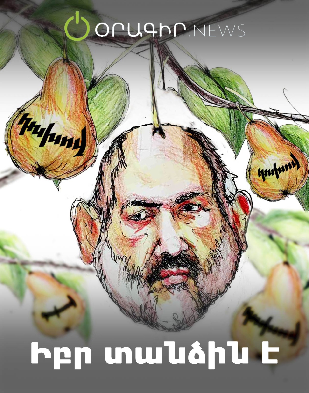 Իբր տանձին է