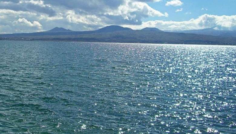 Հայ գիտնականները նոր լուծում են առաջարկում Սևանա լիճը ճահճացումից փրկելու համար